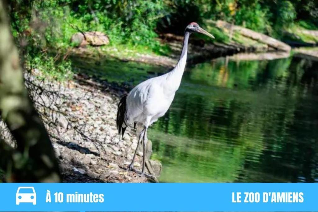 Grand T2 Gare Amiens Tout Confort 2Pers Wifi Ngoại thất bức ảnh